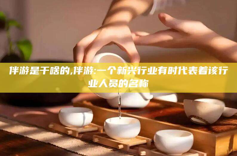 江西伴游是干啥的,伴游:一个新兴行业有时代表着该行业人员的名称